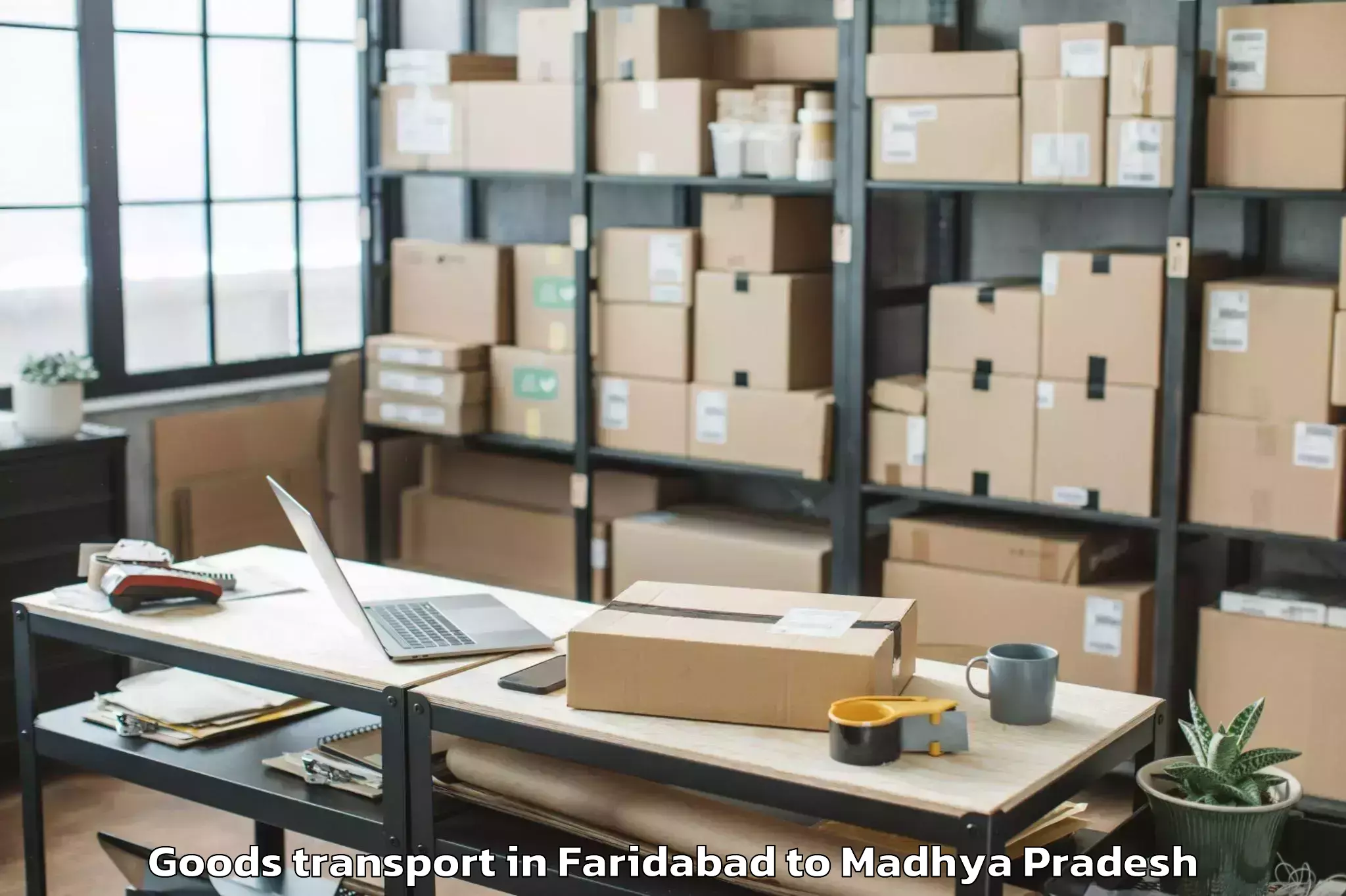 Book Faridabad to Pichhore Goods Transport Online